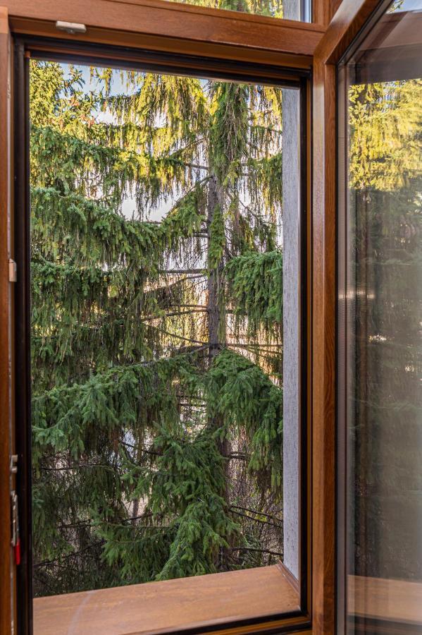 Chic&View Brasov Apartment Kültér fotó